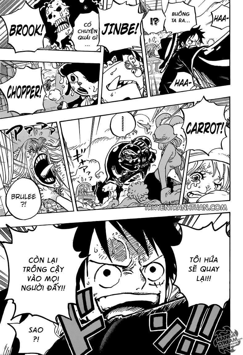 One Piece Tập 878 trang 17