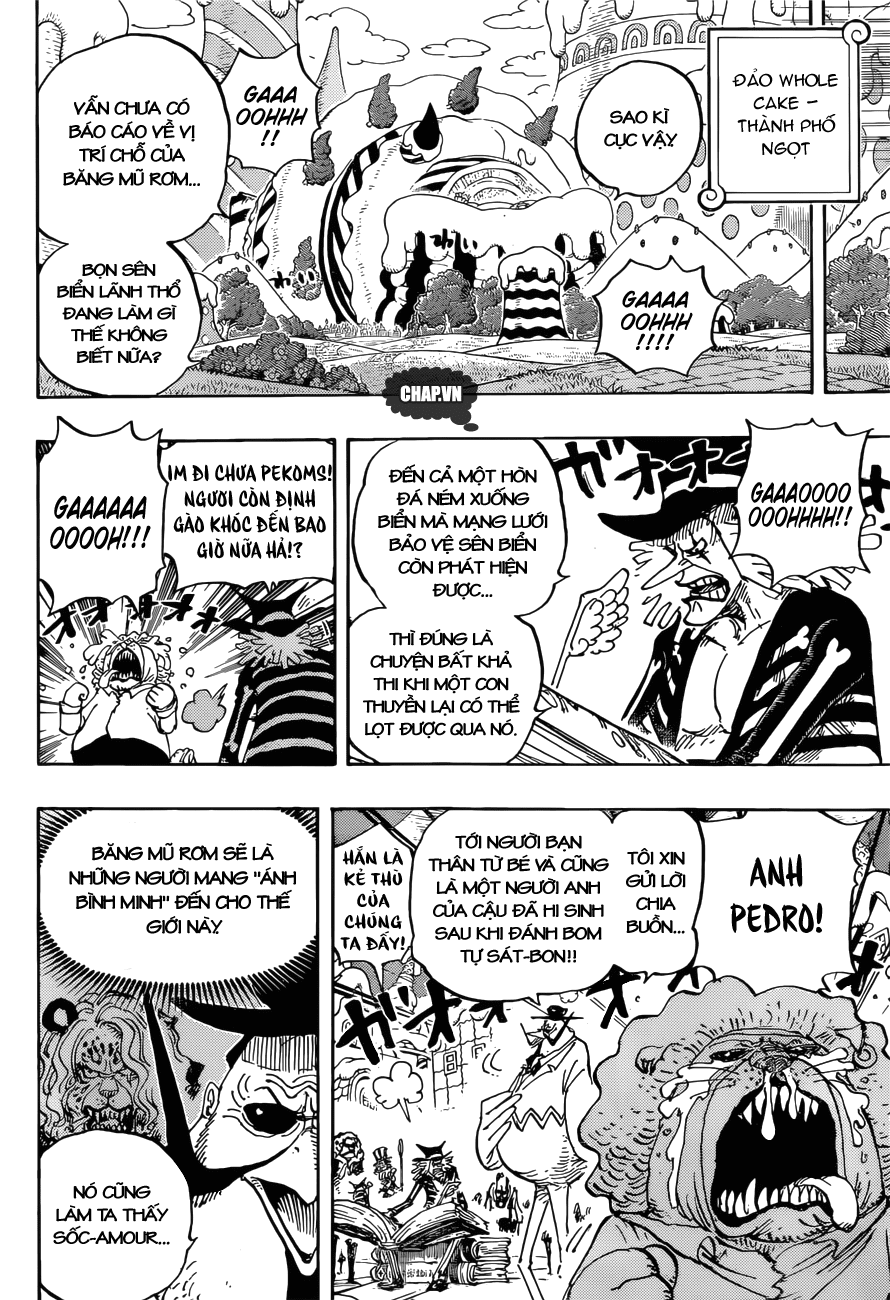 One Piece Tập 882 trang 12