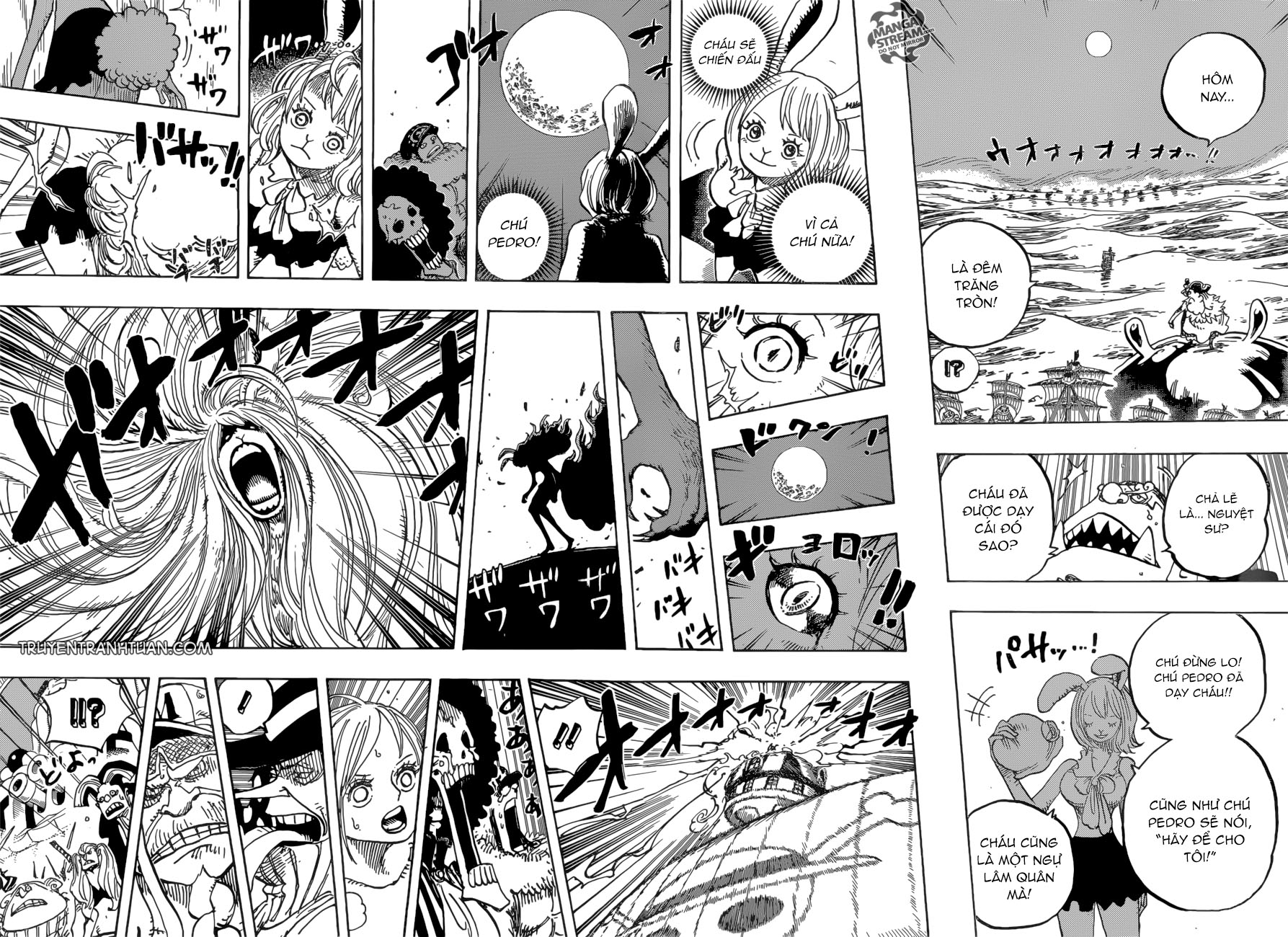 One Piece Tập 888 trang 10