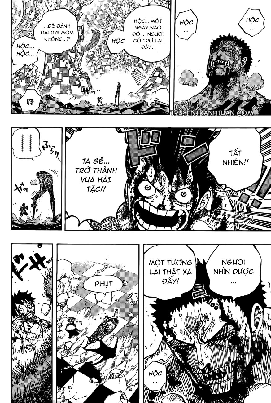 One Piece Tập 896 trang 15