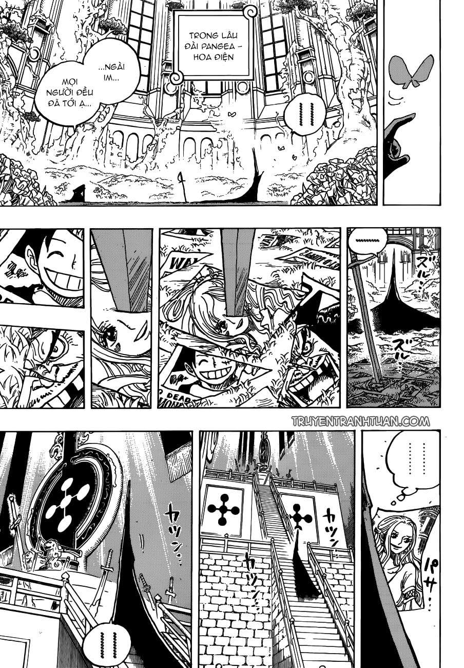 One Piece Tập 908 trang 14