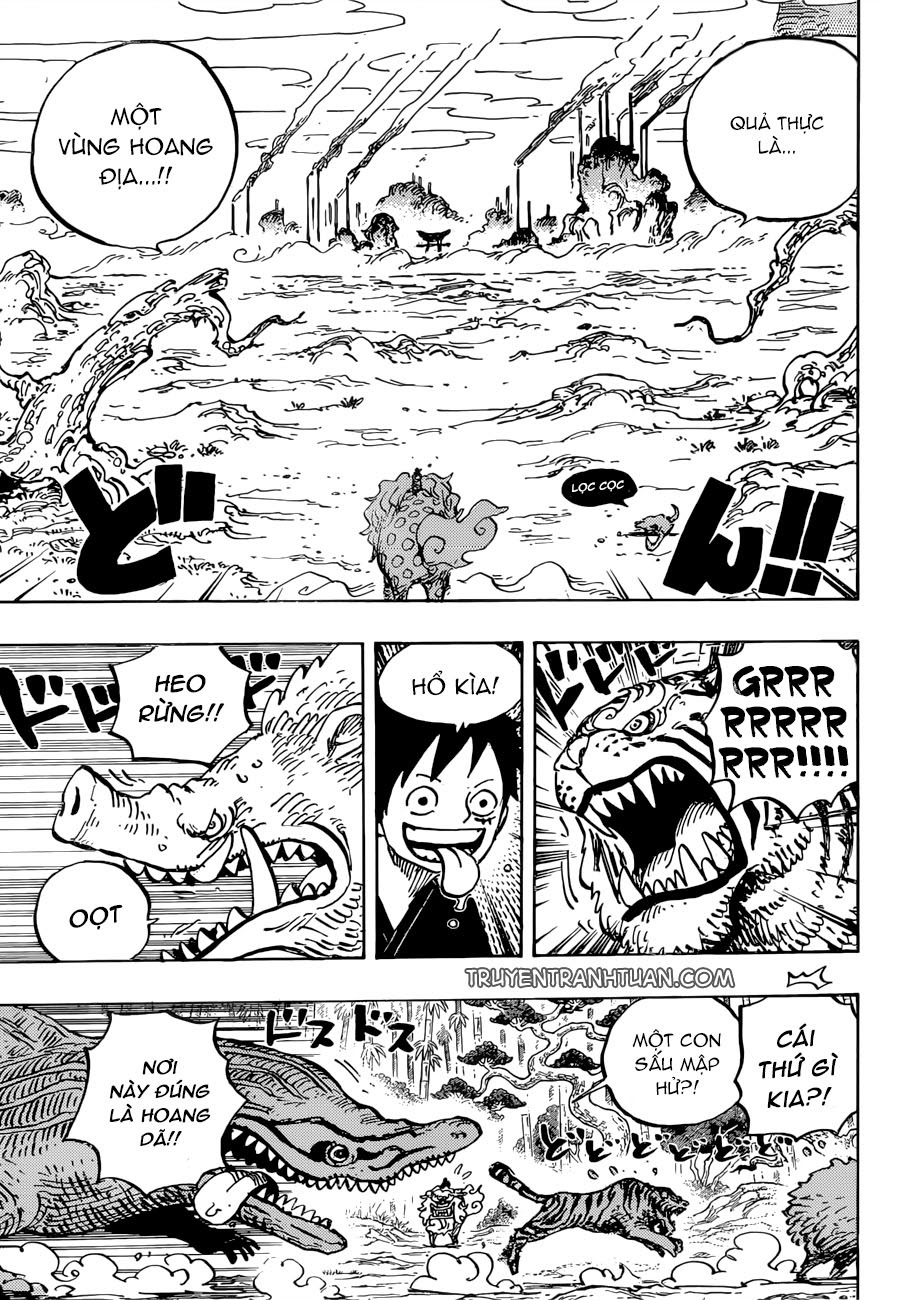 One Piece Tập 912 trang 13