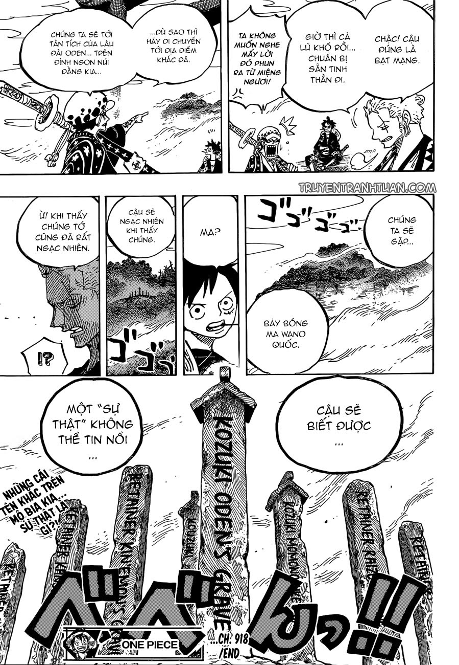 One Piece Tập 918 trang 17