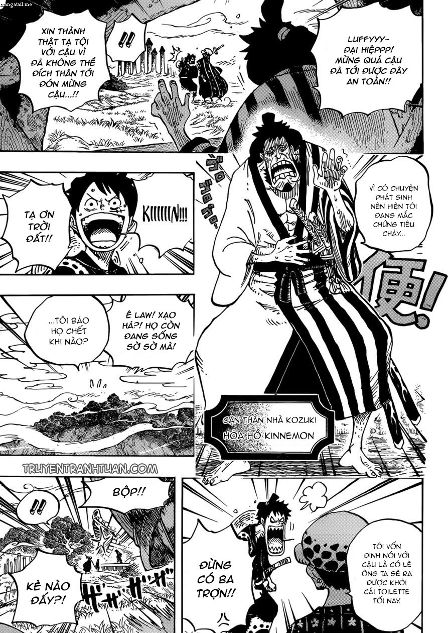 One Piece Tập 919 trang 12
