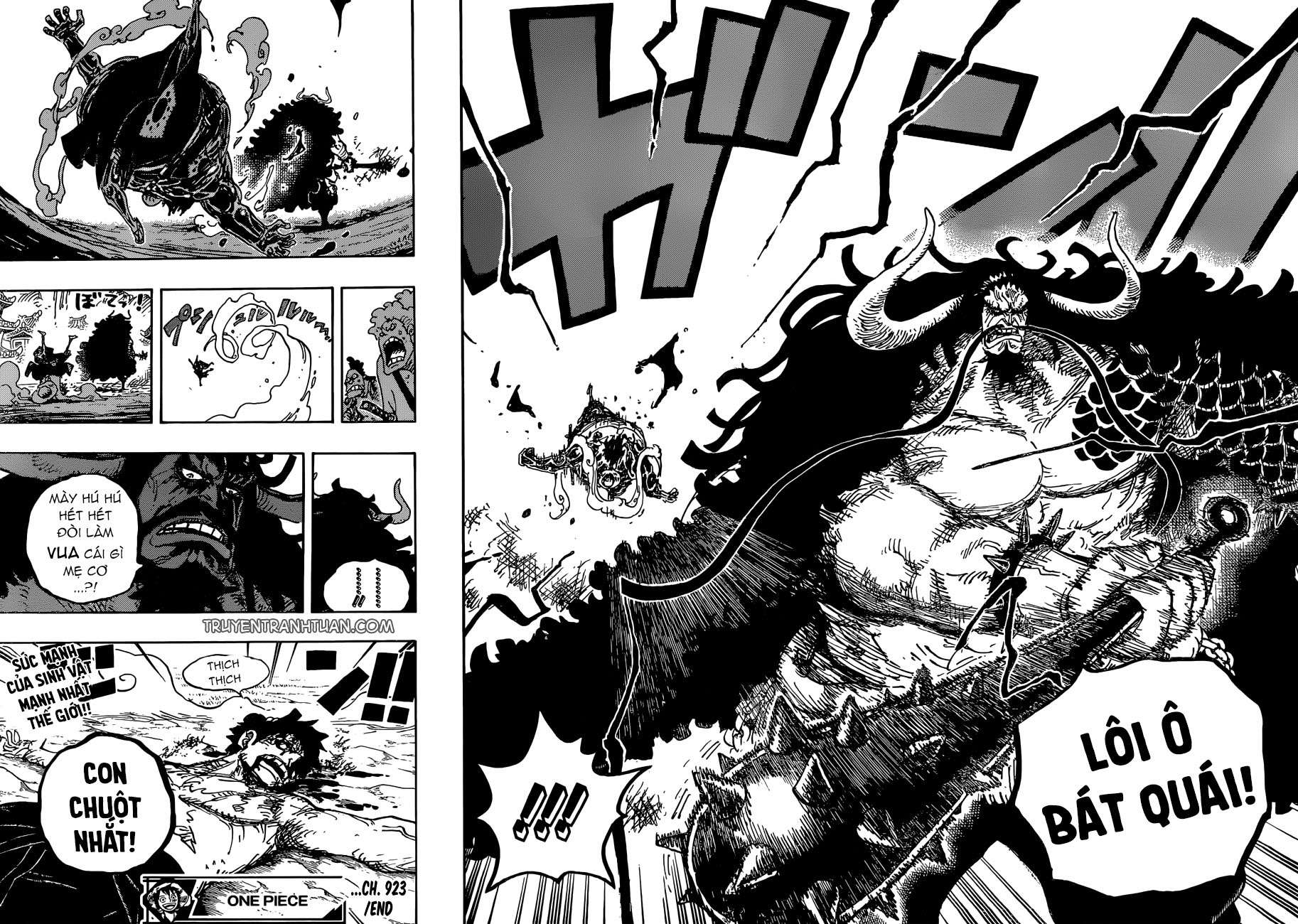 One Piece Tập 923 trang 14