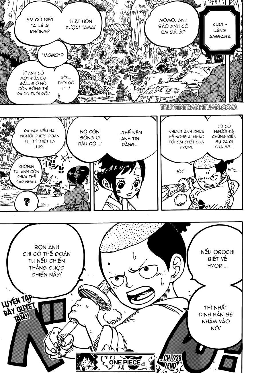 One Piece Tập 928 trang 19