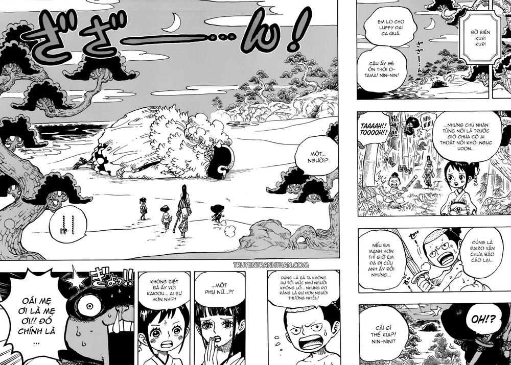 One Piece Tập 931 trang 14