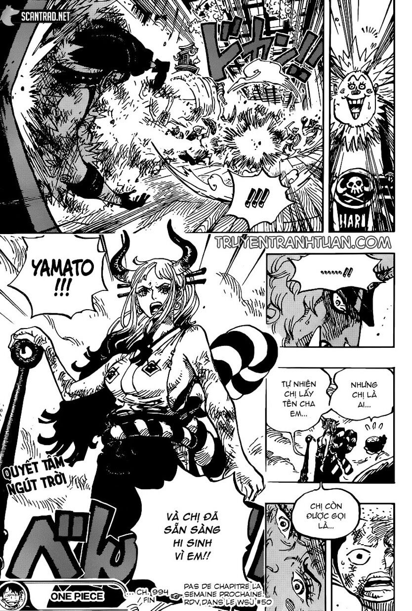 One Piece Tập 994 trang 17