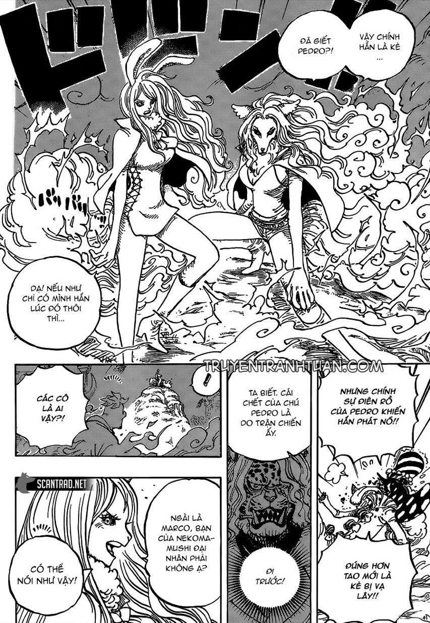 One Piece Tập 995 trang 6