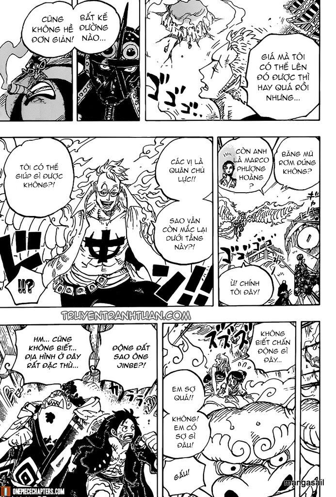 One Piece Tập 997 trang 14