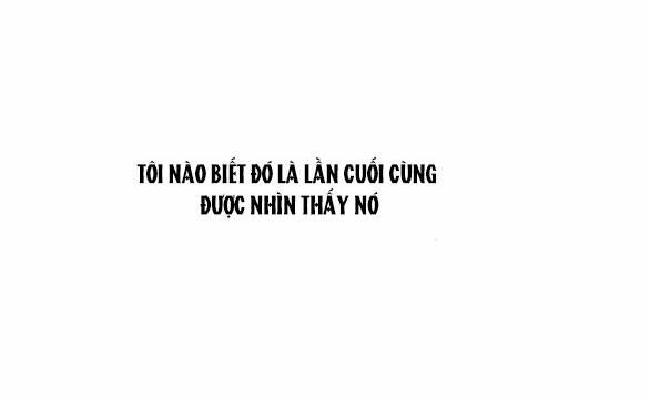 Serena Tập 40.1 trang 52