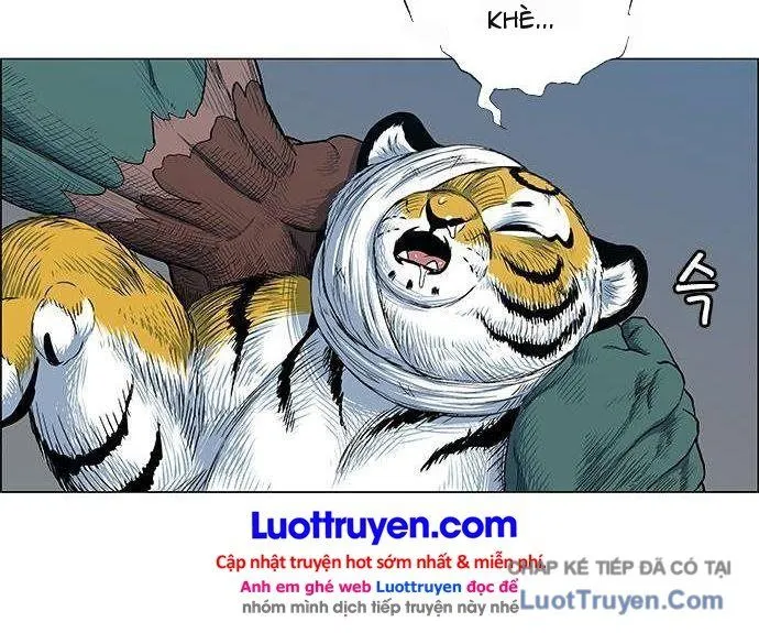 Anh Trai Tôi Là Hổ Tập 180 trang 12