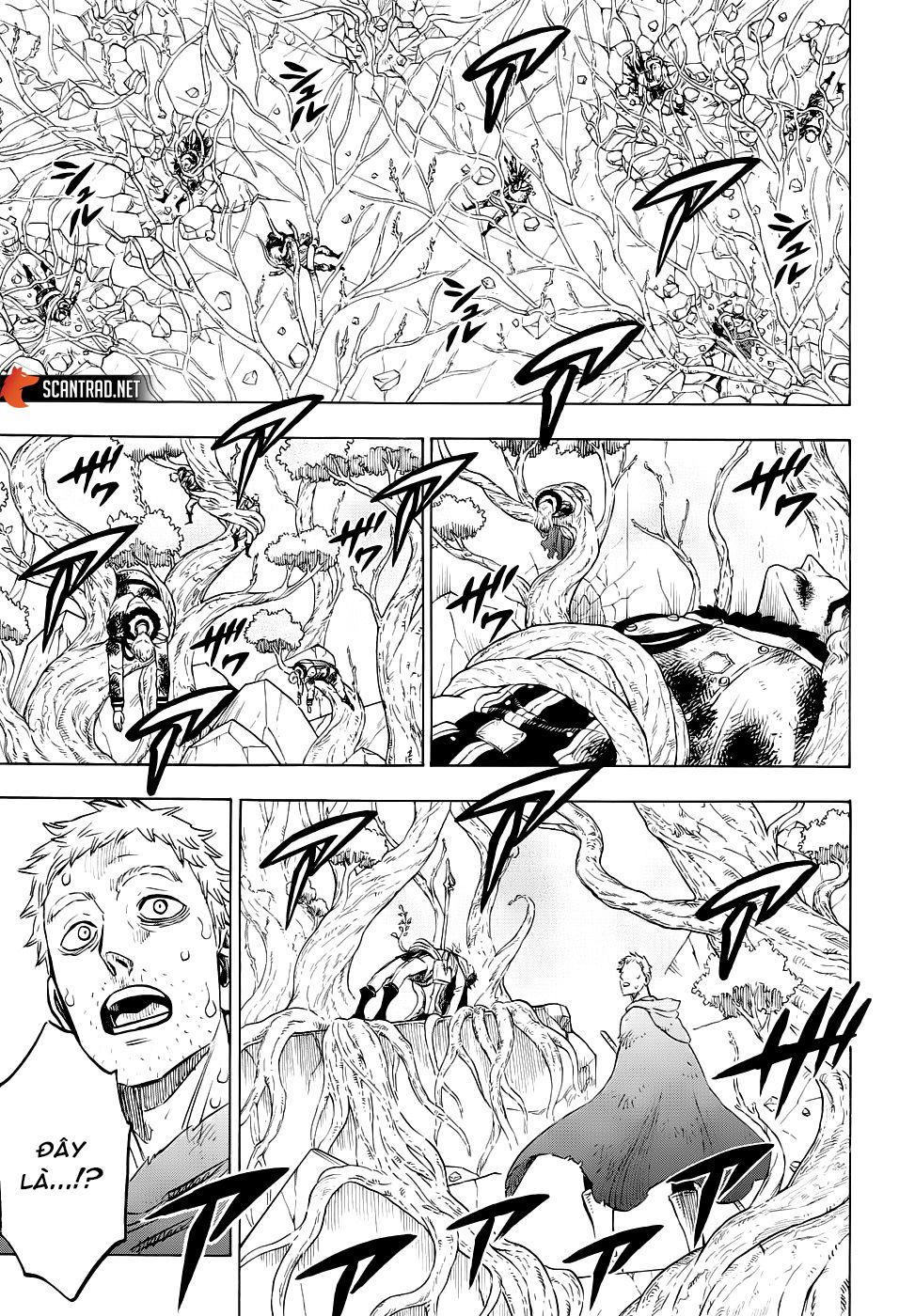 Black Clover Tập 239 trang 4