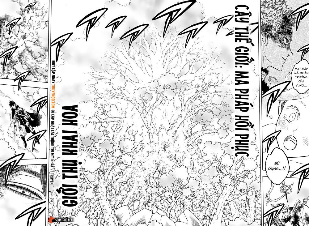 Black Clover Tập 239 trang 5