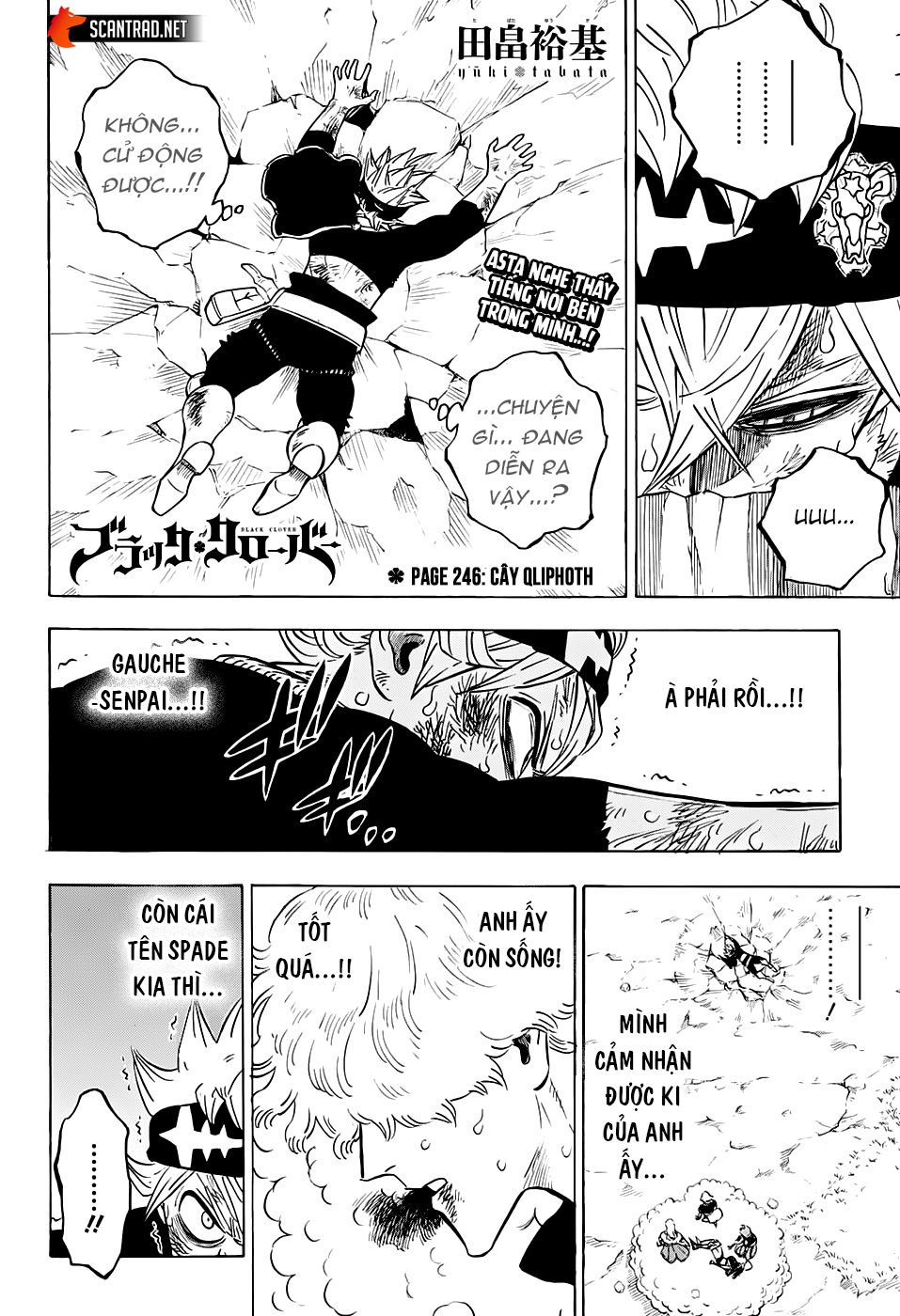 Black Clover Tập 246 trang 3