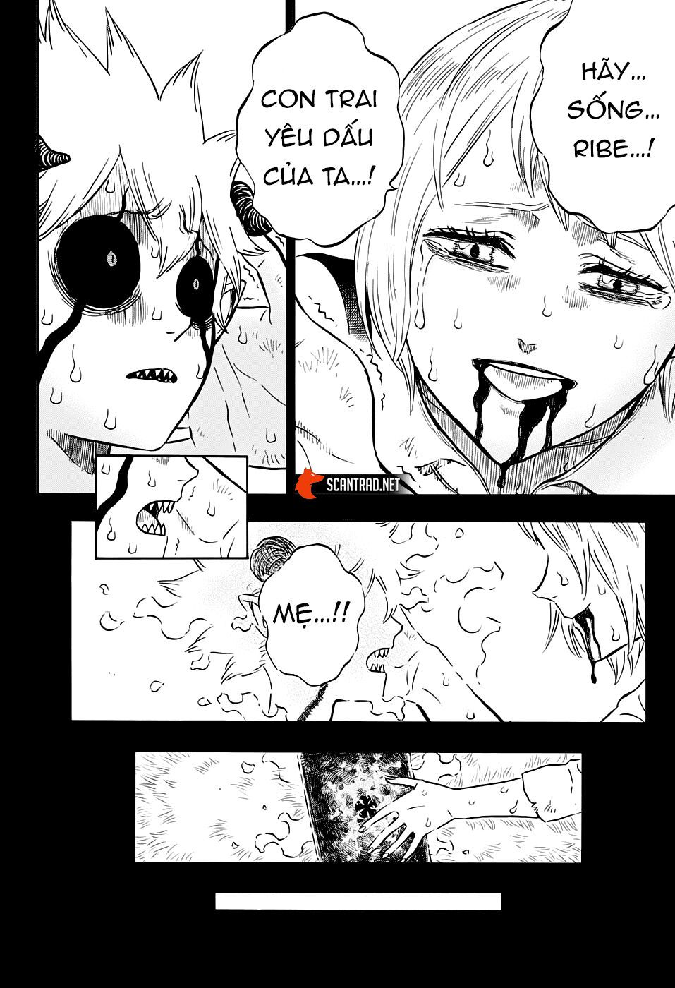 Black Clover Tập 268 trang 14