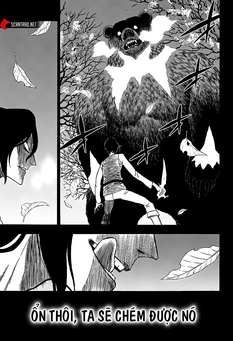 Black Clover Tập 278 trang 13