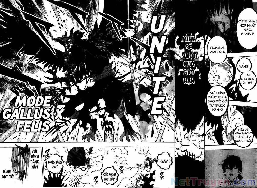 Black Clover Tập 287 trang 5