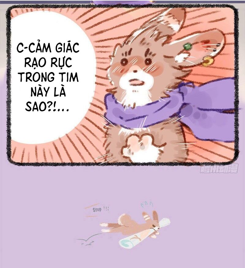 Có Linh Thú Tập 10 trang 6