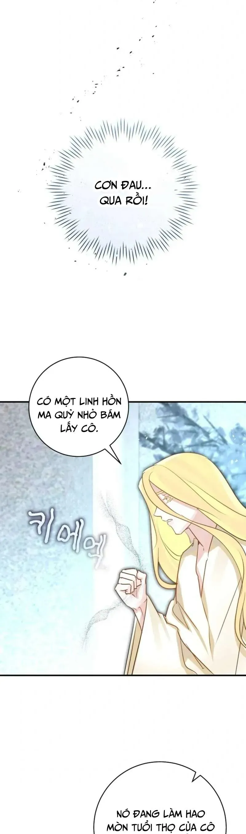 Cuộc Hôn Nhân Xa Hoa Của Đại Công Tước Là Giả Tập 96 trang 25