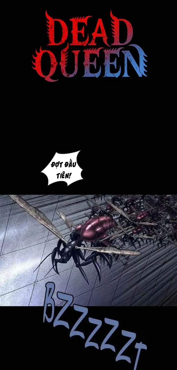 Dead Queen Tập 114 trang 4