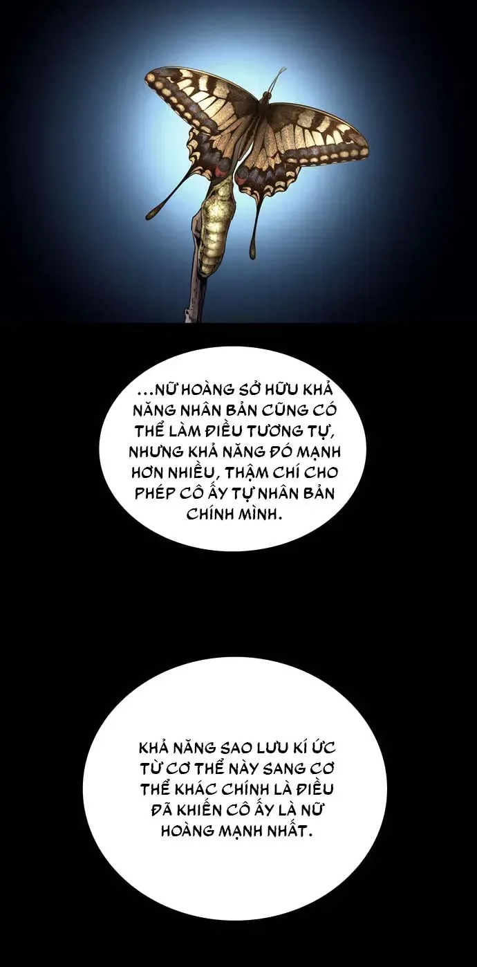 Dead Queen Tập 162 trang 28