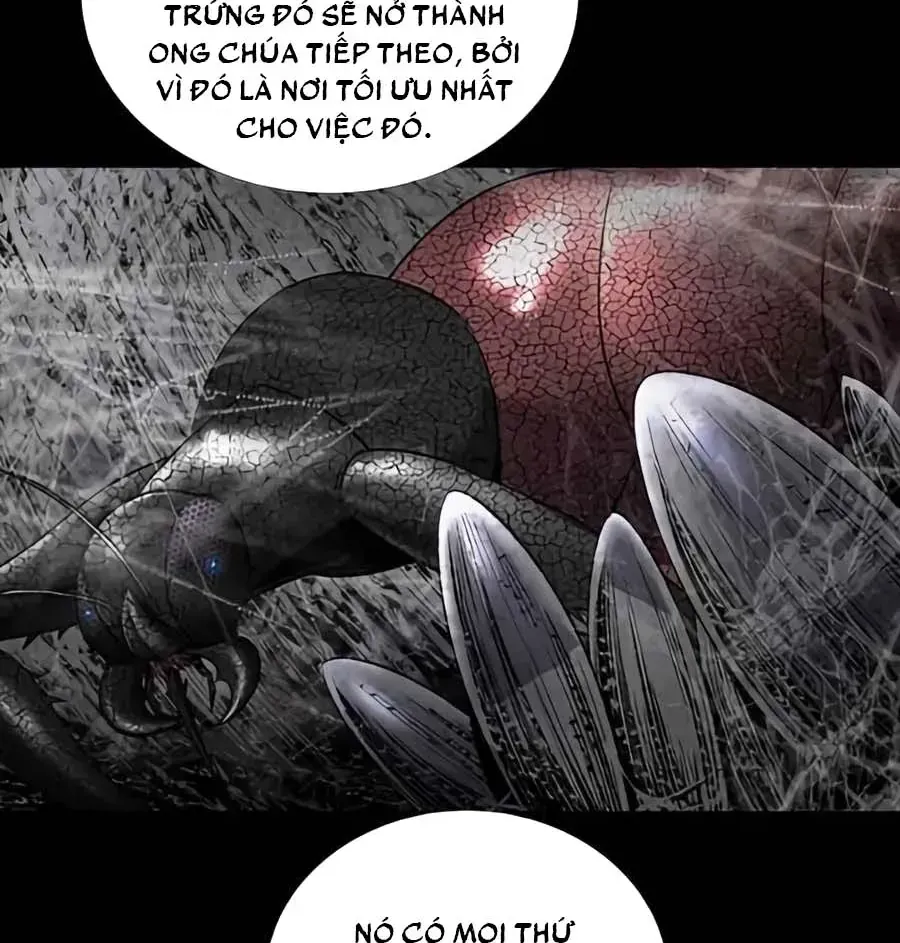 Dead Queen Tập 164 trang 64