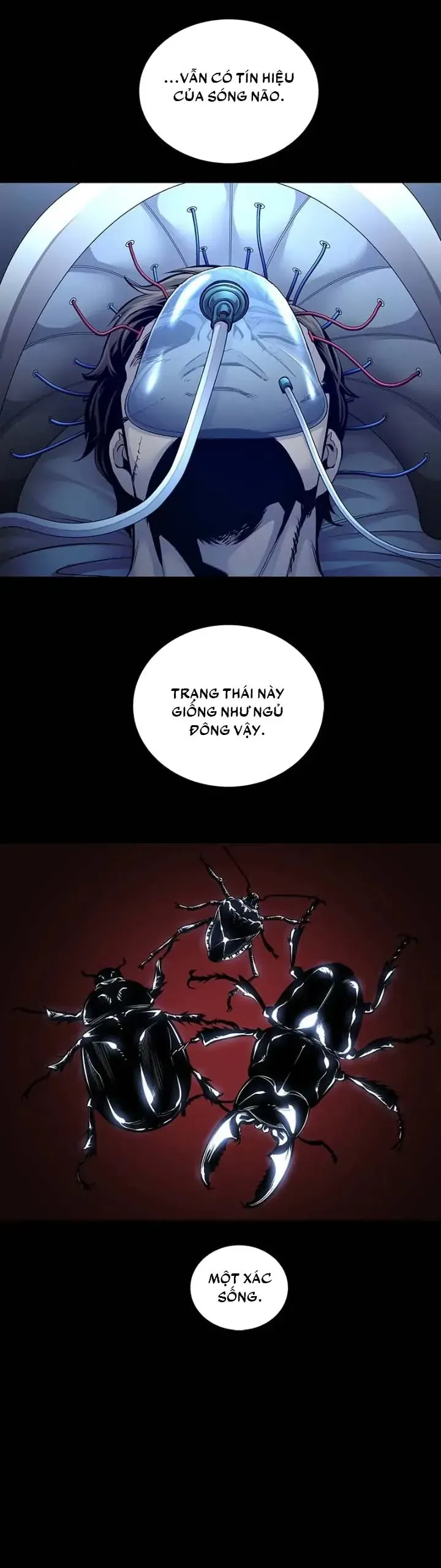 Dead Queen Tập 66 trang 5