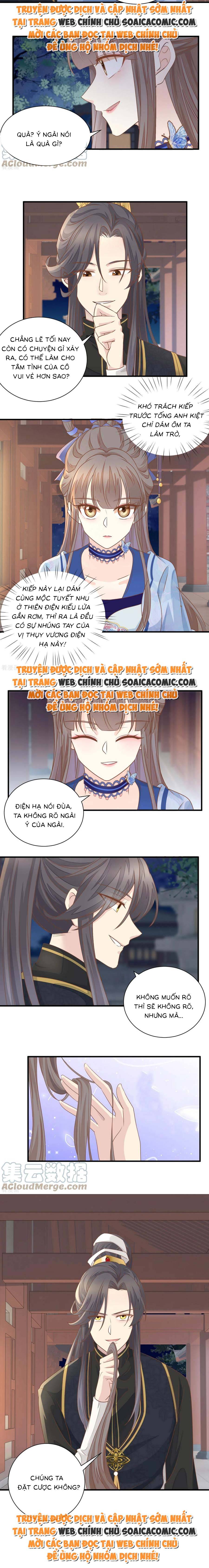 Độc Phi Trùng Sinh Báo Thù Tập 24 trang 5