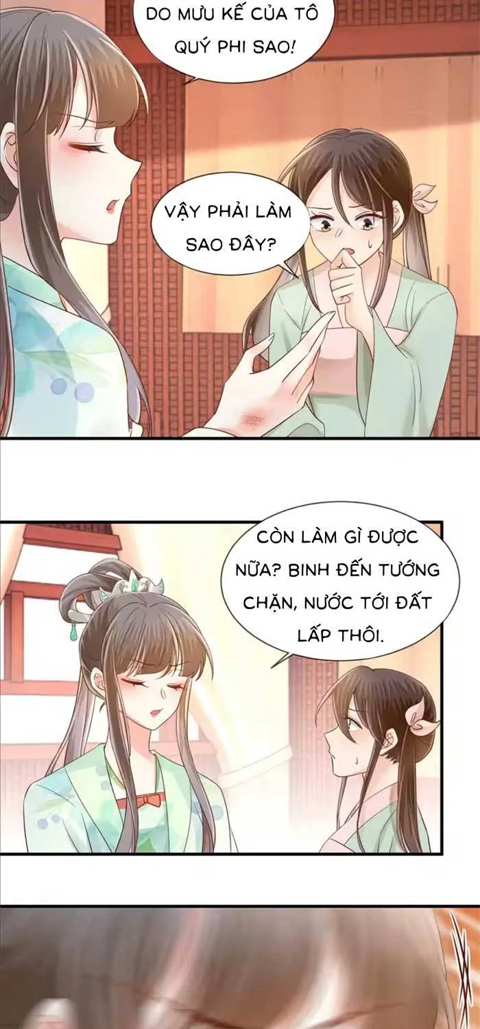 Độc Phi Trùng Sinh Báo Thù Tập 63 trang 14