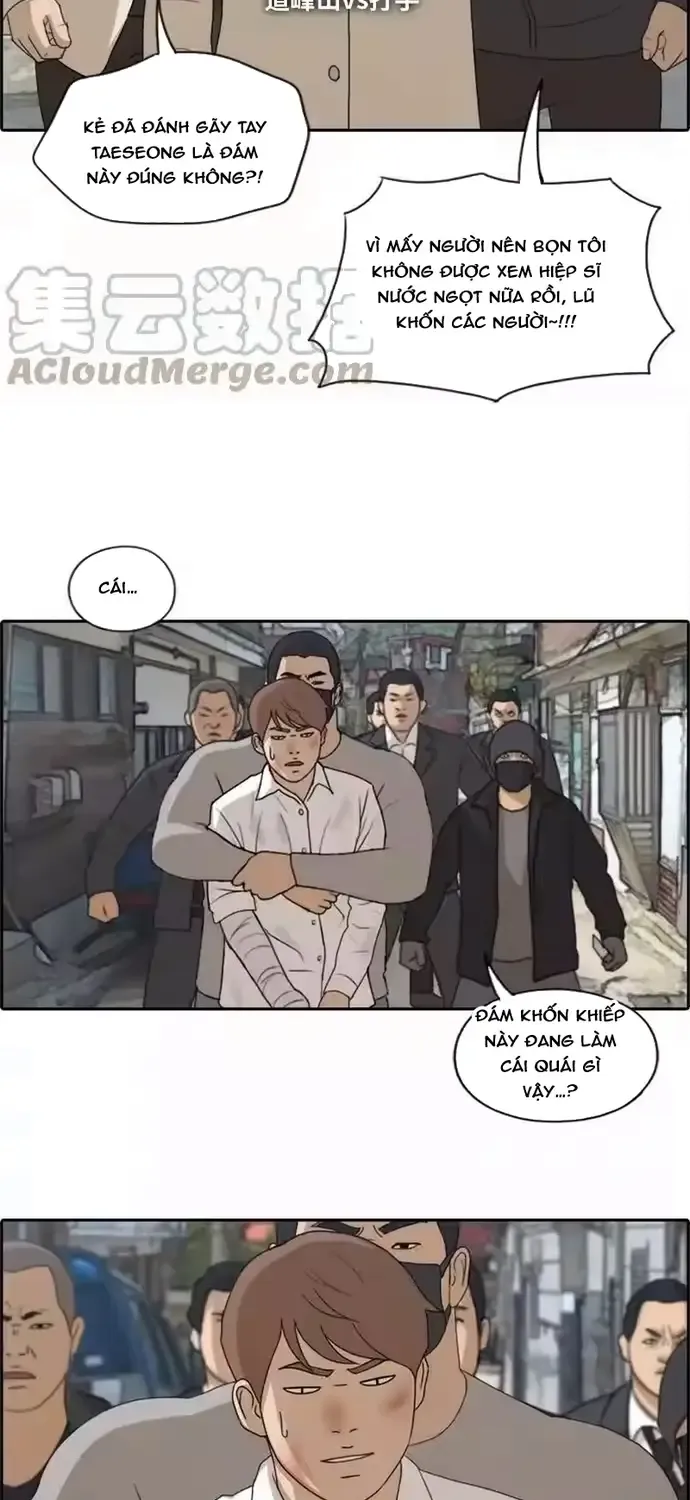 Free Draw Tập 195 trang 5