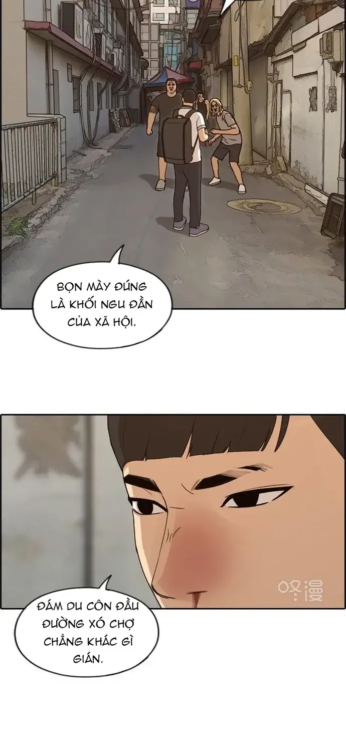 Free Draw Tập 232 trang 8