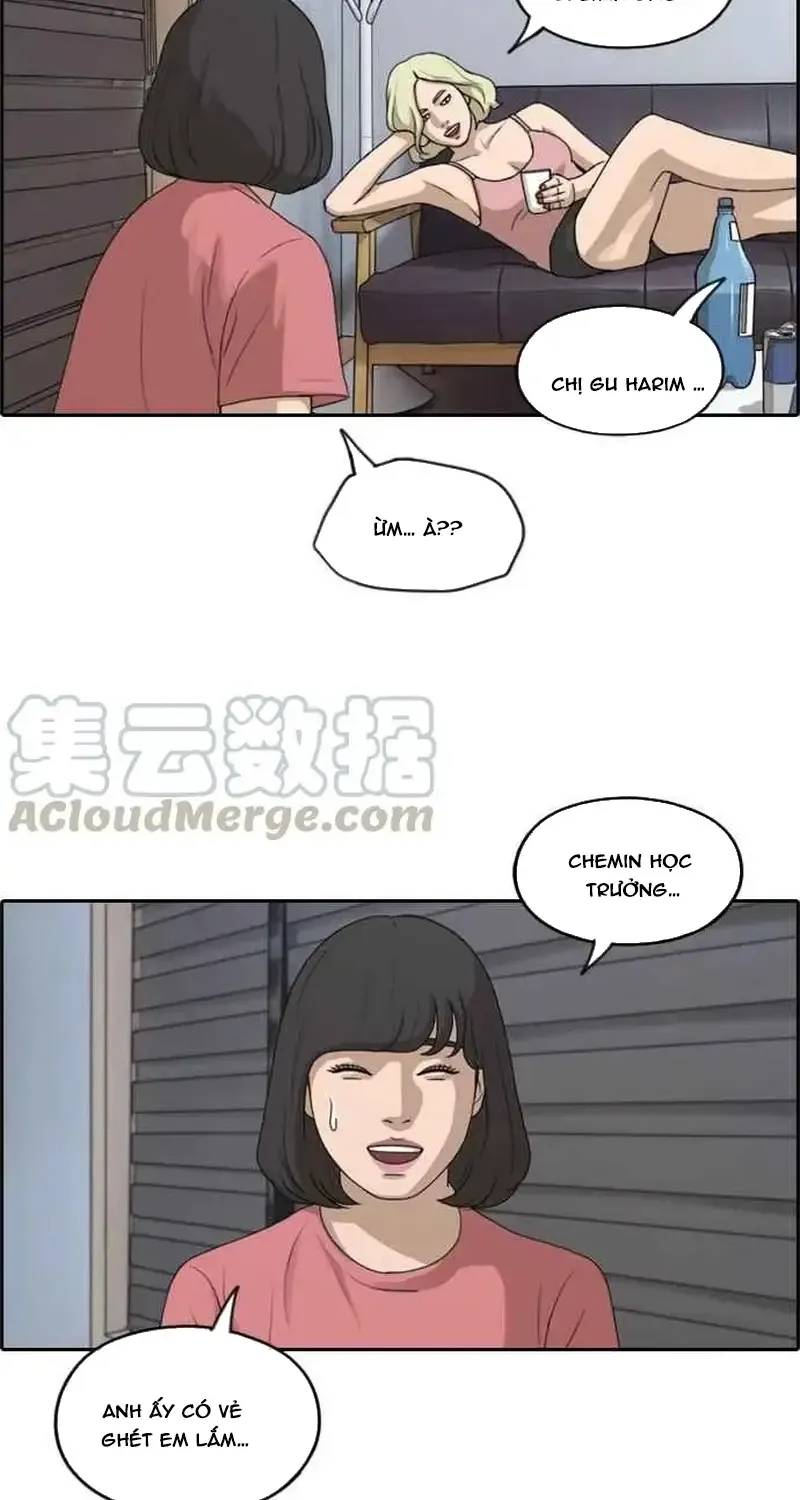 Free Draw Tập 236 trang 24