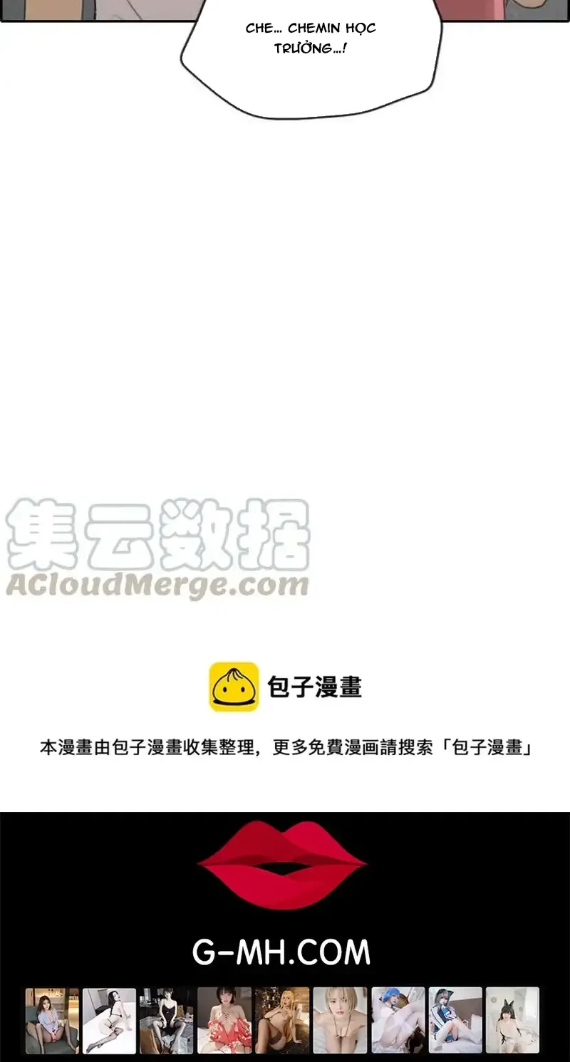 Free Draw Tập 236 trang 52