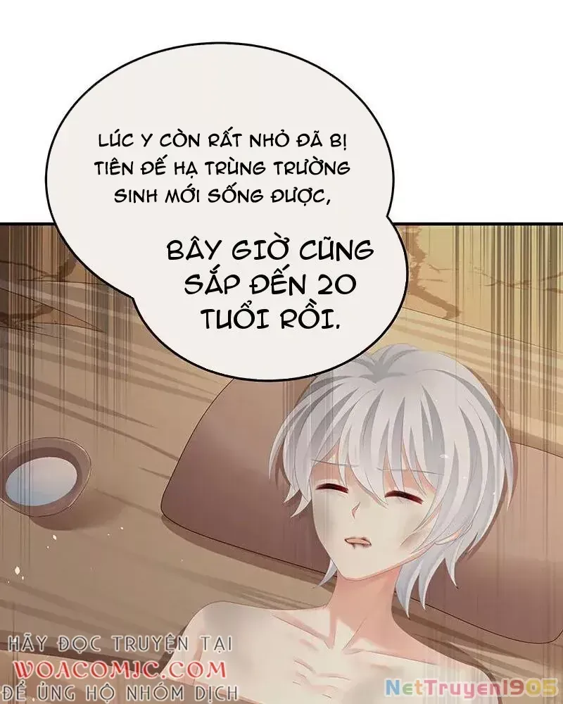 Hậu Cung Của Nữ Đế Tập 478 trang 22