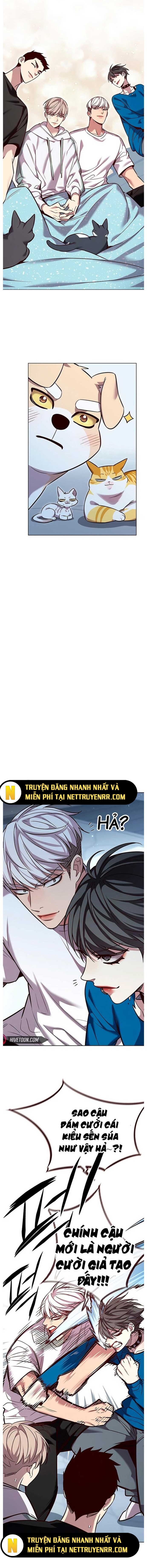 Hoá Thân Thành Mèo Tập 345 trang 19