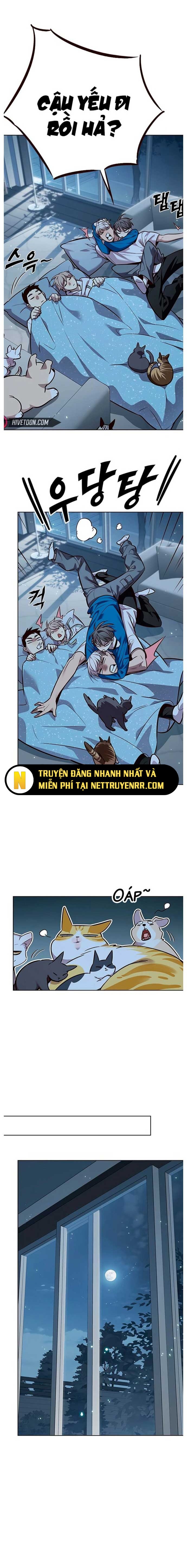 Hoá Thân Thành Mèo Tập 345 trang 10