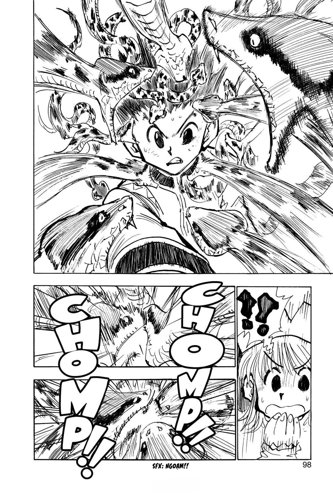 Hunter X Hunter Tập 31 trang 11