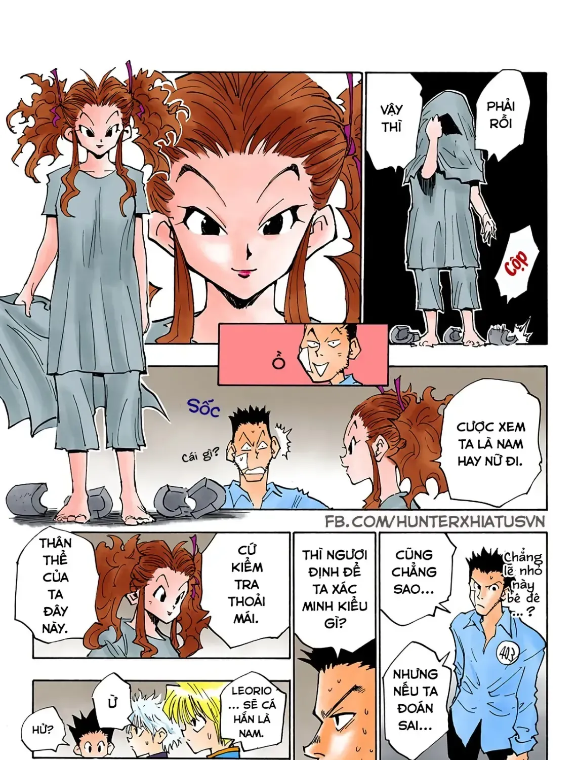 Hunter×Hunter (Digital Colored) Tập 20 trang 29