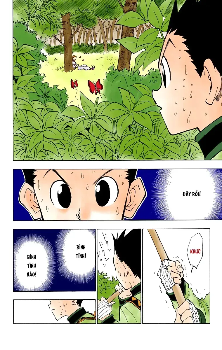 Hunter×Hunter (Digital Colored) Tập 25 trang 9