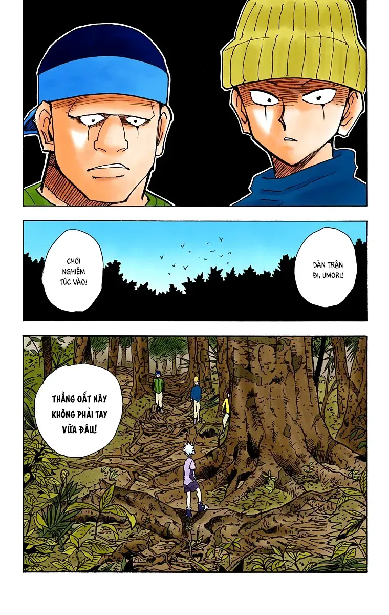 Hunter×Hunter (Digital Colored) Tập 29 trang 12