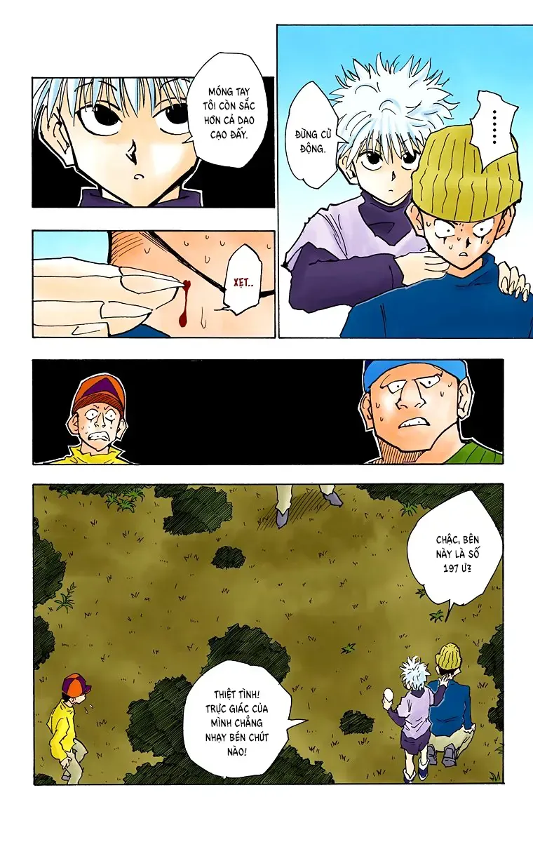 Hunter×Hunter (Digital Colored) Tập 29 trang 15