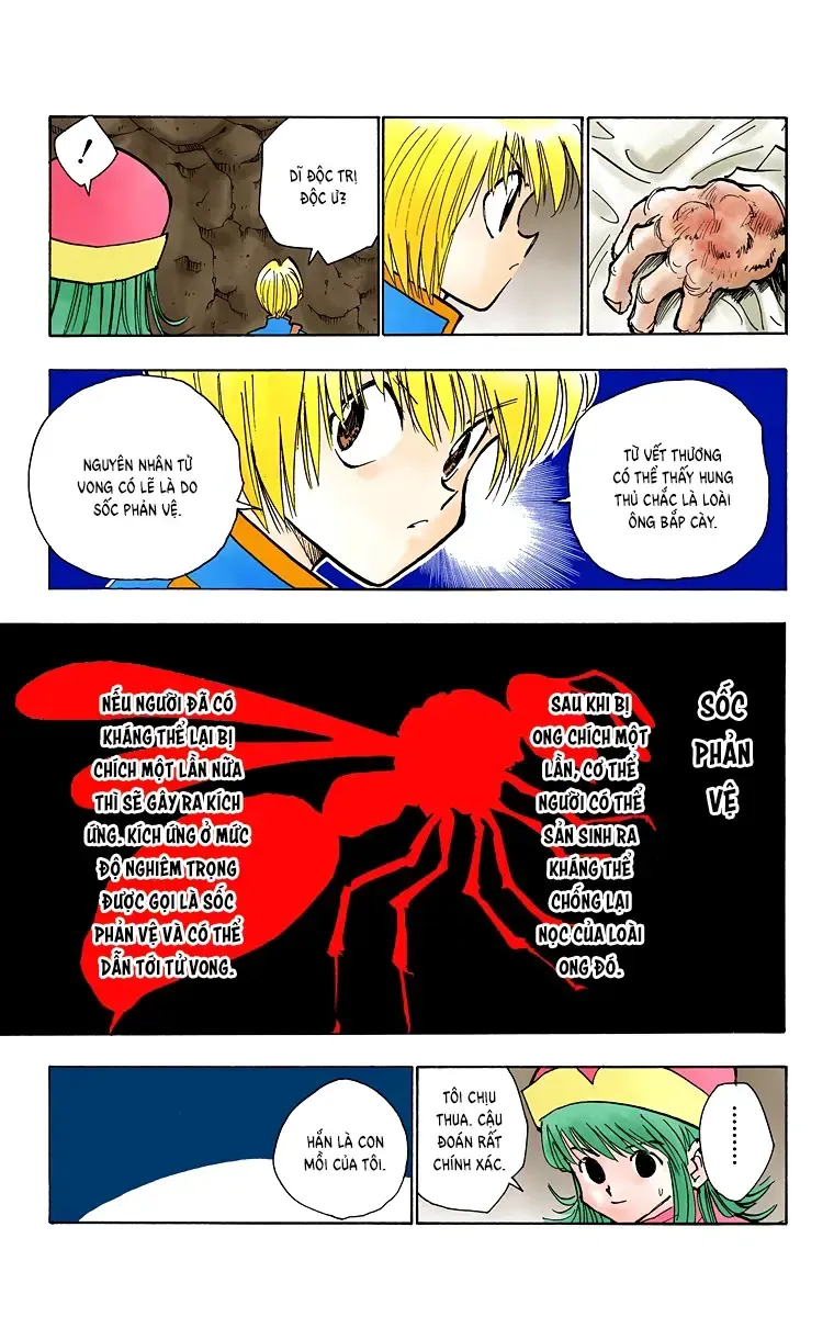 Hunter×Hunter (Digital Colored) Tập 31 trang 6