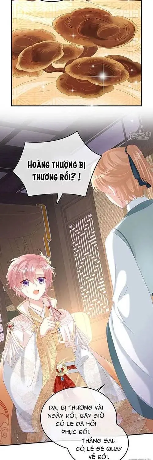 Kiều Phu Có Hỉ Tập 113 trang 3