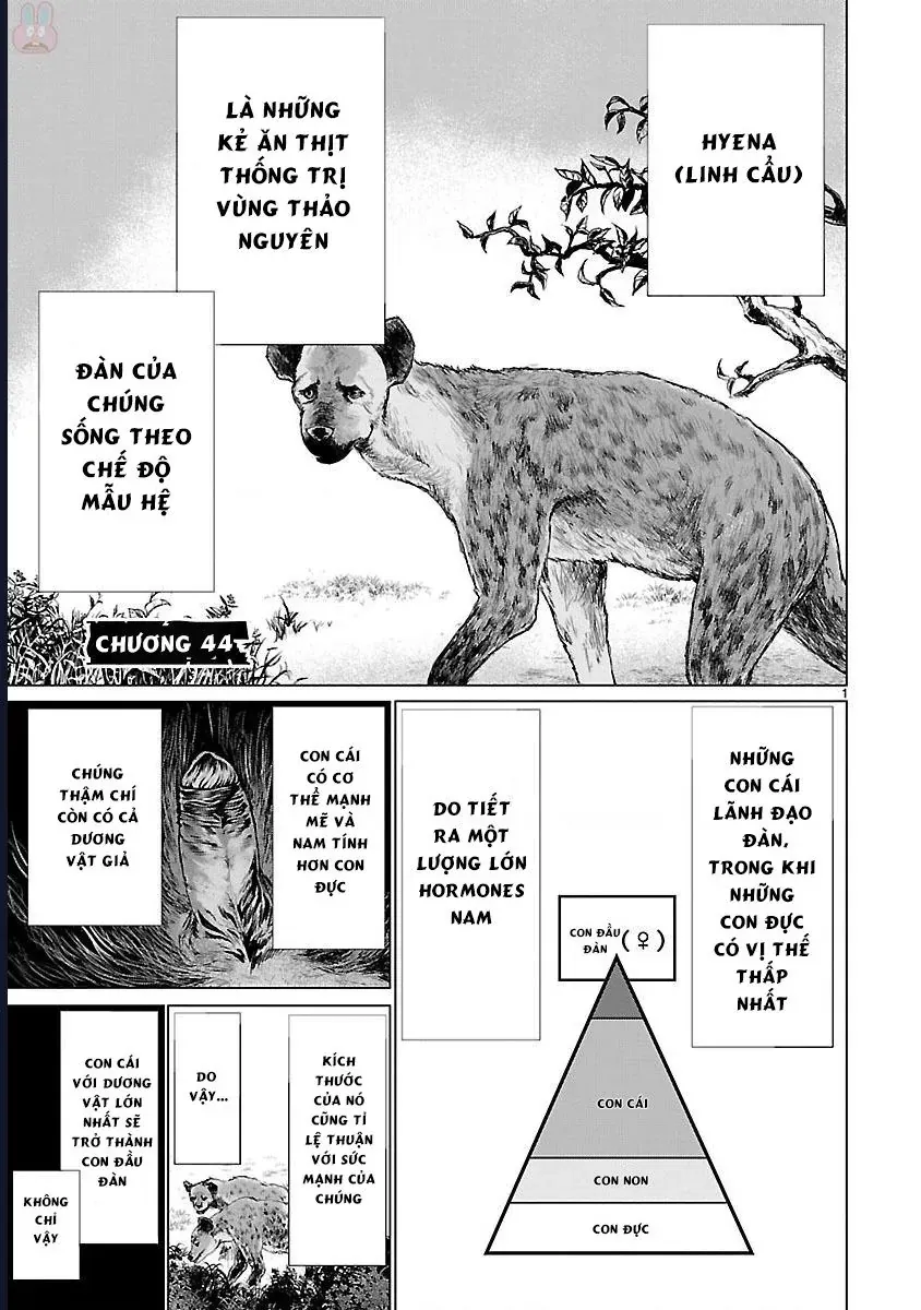 Killing Bites Tập 44 trang 5