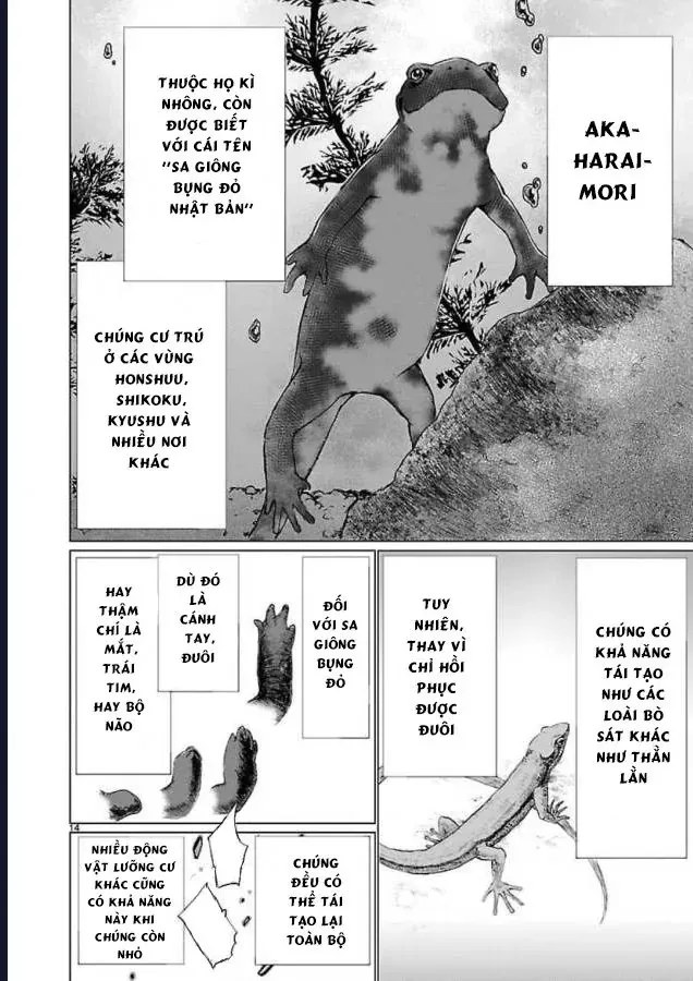 Killing Bites Tập 46 trang 21