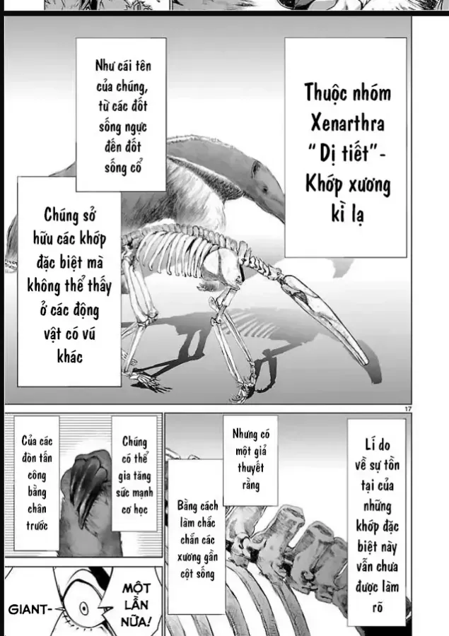 Killing Bites Tập 50 trang 17