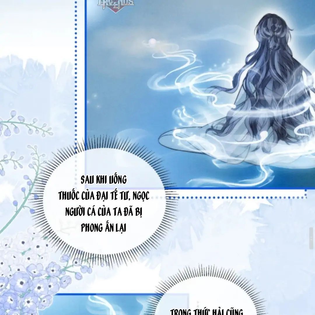 Nhập Hải Tập 10 trang 13