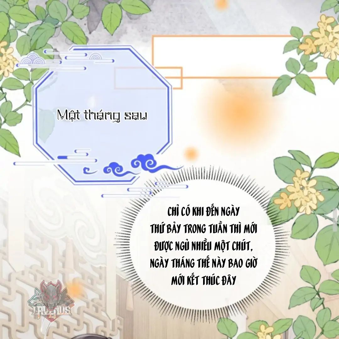 Nhập Hải Tập 10 trang 28