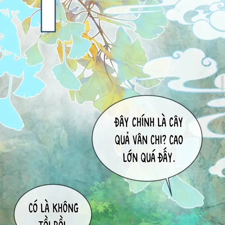 Nhập Hải Tập 15 trang 19